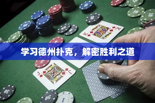學習德州撲克，解密勝利之道