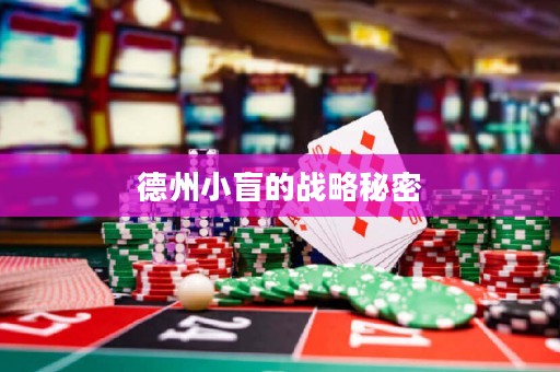 德州小盲的戰(zhàn)略秘密