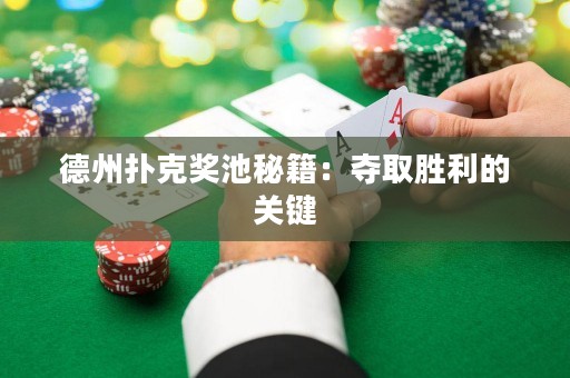 德州撲克獎(jiǎng)池秘籍：奪取勝利的關(guān)鍵