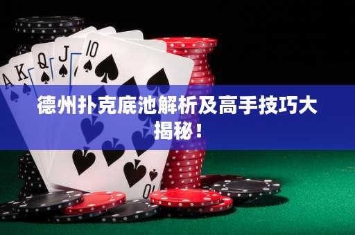 德州撲克底池解析及高手技巧大揭秘！