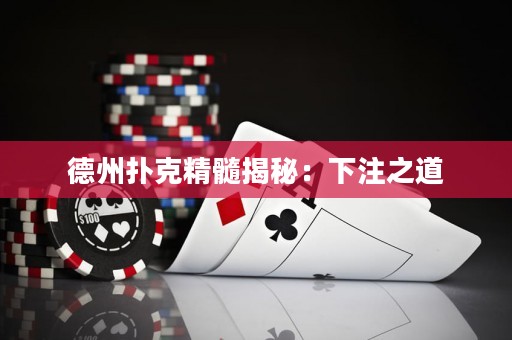 德州撲克精髓揭秘：下注之道