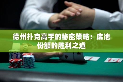 德州撲克高手的秘密策略：底池份額的勝利之道
