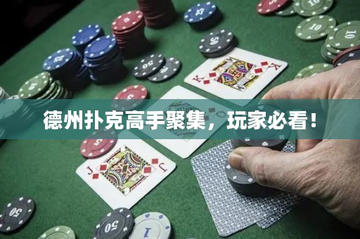 德州撲克高手聚集，玩家必看！