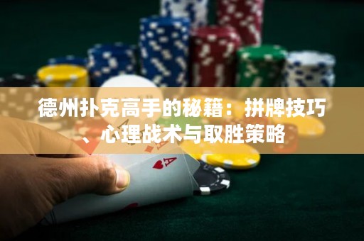 德州撲克高手的秘籍：拼牌技巧、心理戰(zhàn)術(shù)與取勝策略